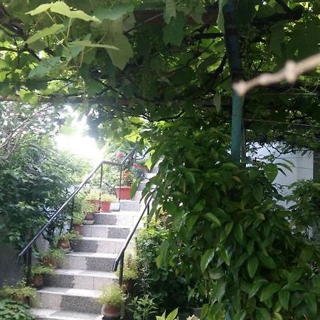 Свети Никола Hotell Sinemoretz Eksteriør bilde