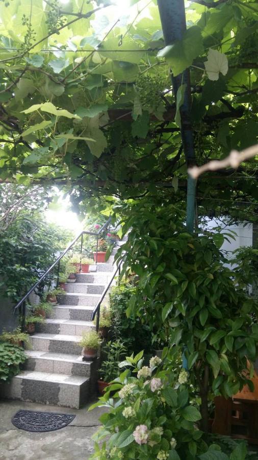 Свети Никола Hotell Sinemoretz Eksteriør bilde